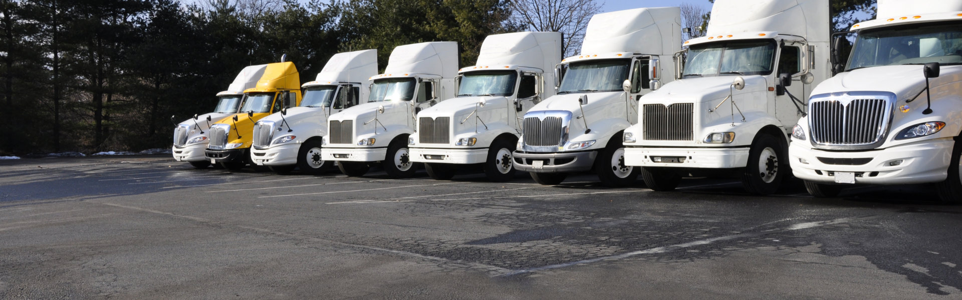 parked white trucks